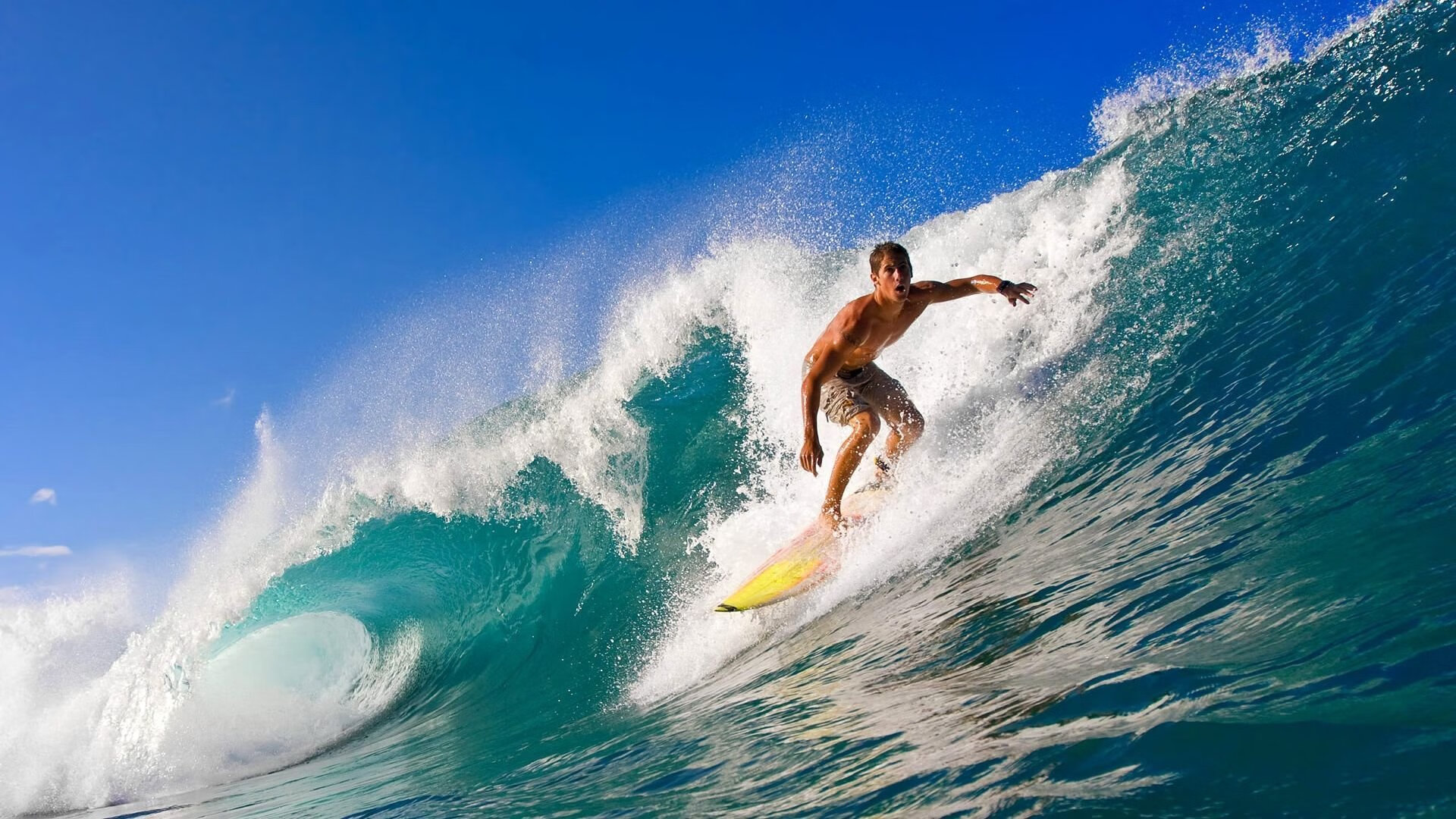 开云·体育官网APP下载-“拳台激战，四川省体育馆见证新拳王诞生！”